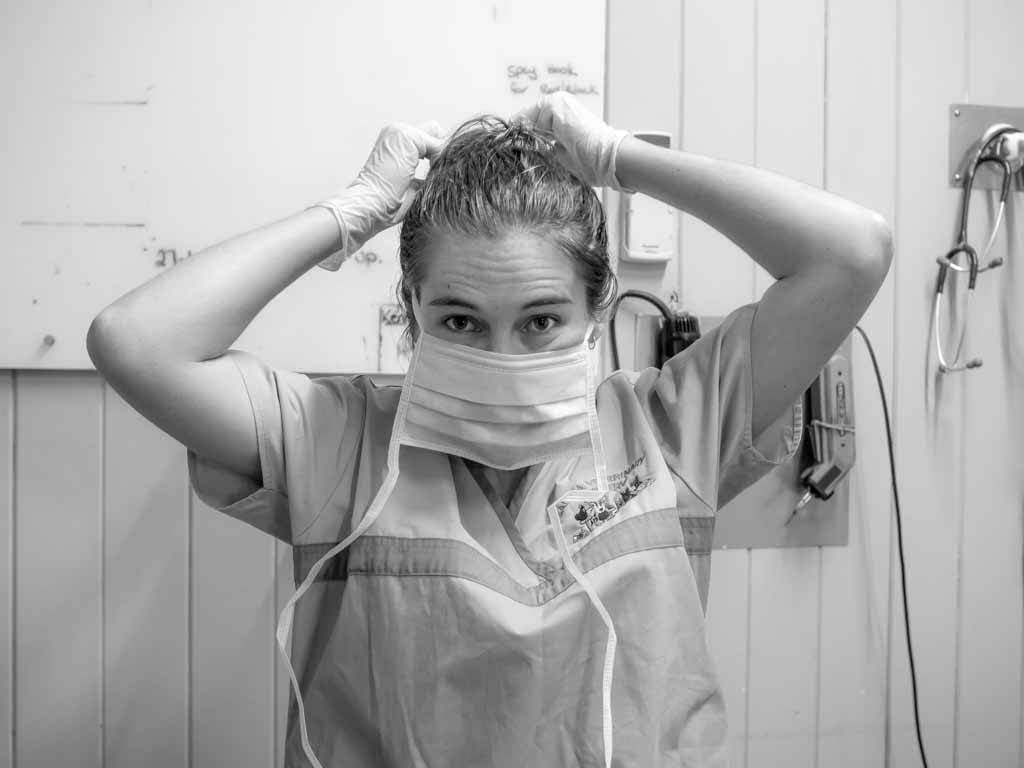Veterinarian – 24/7 Vet Clinic in Sarina, QLD Veterinarian - 24/7 Vet Clinic in Sarina, QLD